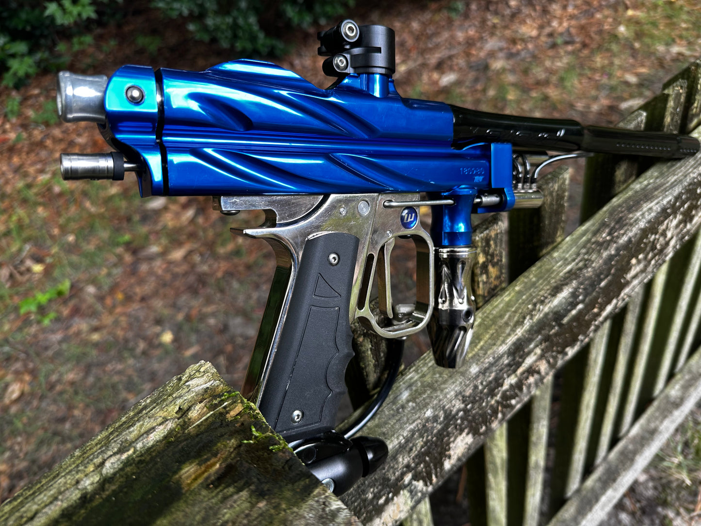 2004 WGP Prostock