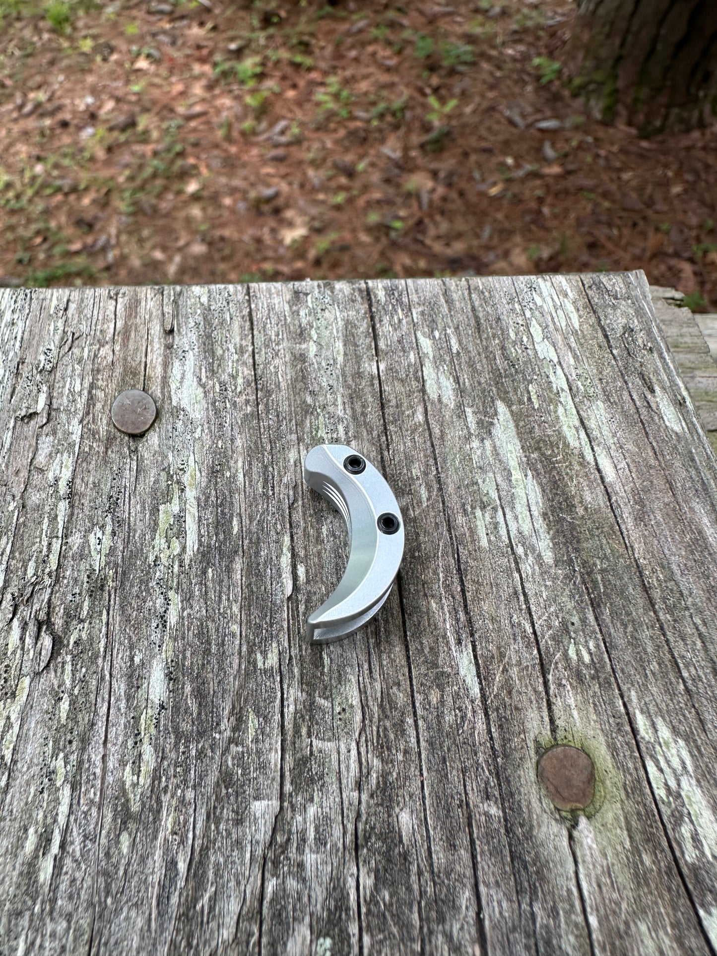 Shocktech Trigger Shoe